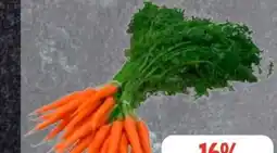 Edeka Frischemarkt Bundmöhren Angebot