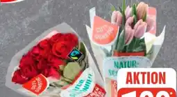 Edeka Gut & Günstig Moosrosen Angebot