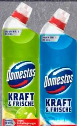 Edeka Domestos WC Gel Kraft & Frische Angebot