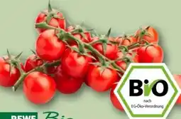 REWE Center Rewe Bio Mini Cherry Rispentomaten Angebot
