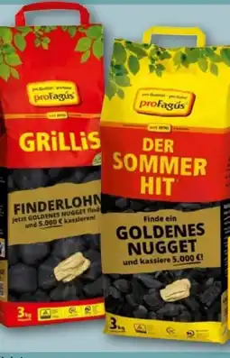 REWE Center proFagus Grill-Holzkohle Angebot