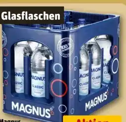 REWE Center Magnus Mineralwasser Angebot