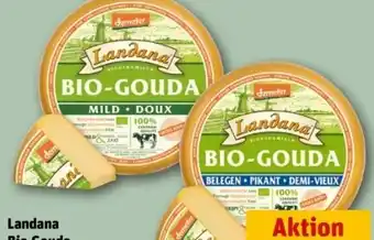 REWE Center Landana Bio-Gouda Angebot