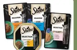 Budni Sheba Katzennahrung Angebot