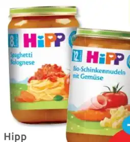 Budni HiPP Menü Angebot