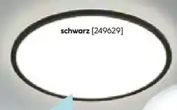 Hellweg Flector LED-Panel Backlight Angebot