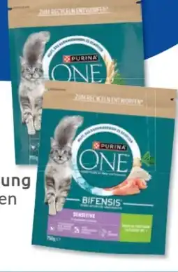 Budni Purina One Katzennahrung Angebot