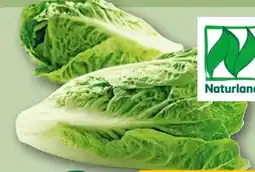 REWE Rewe Bio Romana Salatherzen Angebot