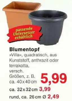 Jawoll Blumentopf Angebot