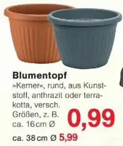 Jawoll Blumentopf Angebot