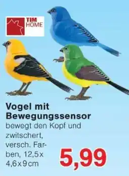 Jawoll TIM HOME Vogel mit Bewegungssensor Angebot