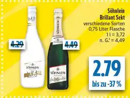 diska Söhnlein white ice Angebot