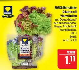 Marktkauf Edeka herzstücke salatrio mit wurzelballen Angebot