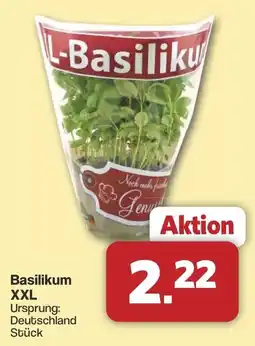 Famila Nord West Basilikum XXL Angebot