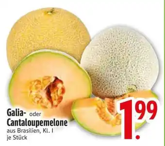Edeka Galia- oder Cantaloupemelone Angebot