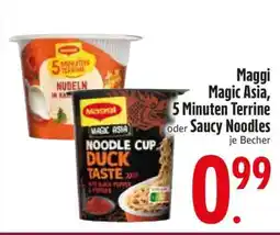 Edeka Maggi Magic Asia, 5 Minuten Terrine oder Saucy Noodles Angebot