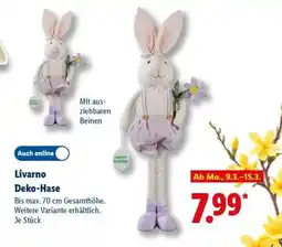 Lidl Livarno Deko-Hase Angebot