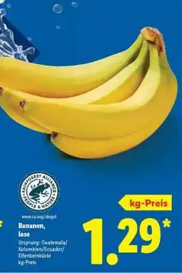 Lidl Bananen, lose Angebot