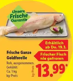 Lidl Frische Ganze Goldforelle Angebot