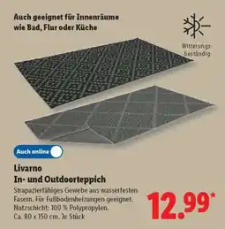 Lidl Livarno In- und Outdoorteppich Angebot