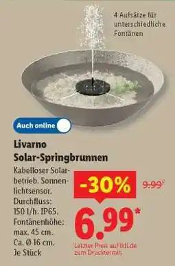 Lidl Livarno Solar-Springbrunnen Angebot