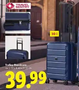 Lidl Trolley-Boardcase Angebot