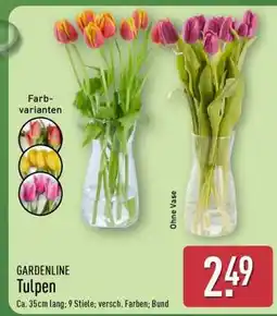 Aldi Nord GARDENLINE Tulpen Angebot