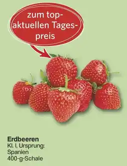 Famila Nord West Erdbeeren Angebot