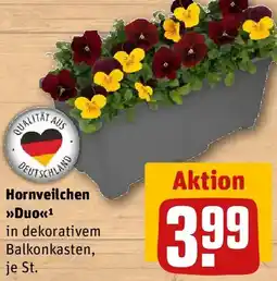 REWE Hornveilchen Duo Angebot