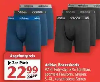 Globus Adidas Boxershorts Angebot