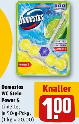 REWE Domestos WC Stein Power 5 Angebot