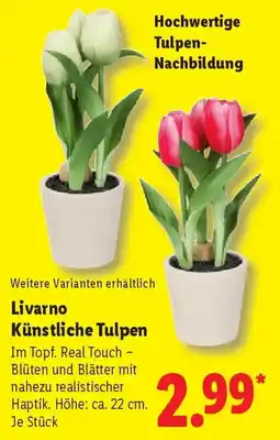 Lidl Livarno Künstliche Tulpen Angebot