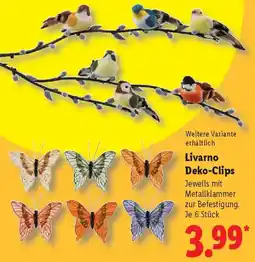 Lidl Livarno Deko-Clips Angebot