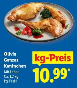 Lidl Olivia Ganzes Kaninchen Angebot
