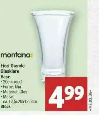 Marktkauf Montana Fiori Grande Glasklare Vase Angebot