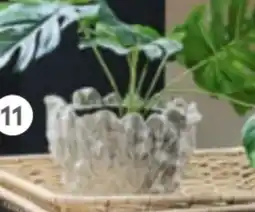 XXXLutz Ambia Übertopf Angebot