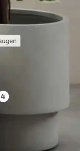 XXXLutz Pflanztopf Angebot