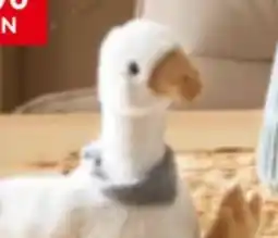 XXXLutz Boltze Gruppe Home Plüschtier Angebot