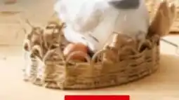 XXXLutz Boltze Gruppe Tablett Angebot