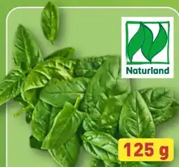 Aldi Nord Bio Smiley Spinat Angebot
