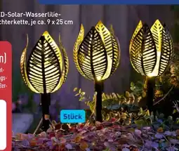 Aldi Nord Belavi LED-Solar-Wasserlilien Angebot