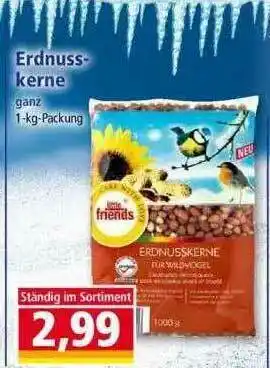 Norma Erdnuss-kerne Angebot