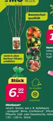 NETTO Obstbaum Angebot