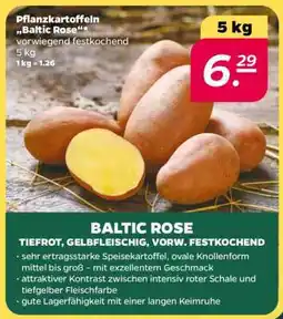 NETTO Pflanzkartoffeln 'Baltic Rose' Angebot
