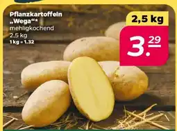 NETTO Pflanzkartoffeln „Wega“ Angebot