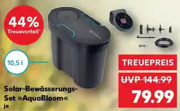 Kaufland Solar-Bewässerungs- Set AquaBloom Angebot