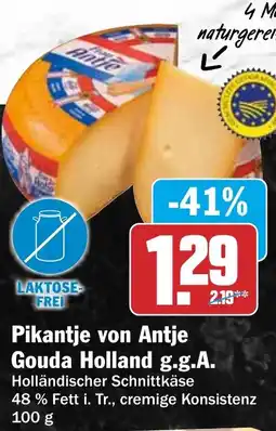 HIT Pikantje von Antje Gouda Holland g.g.A. Angebot