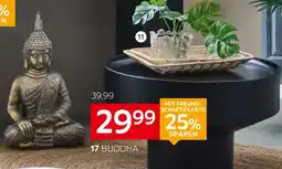 XXXLutz Ambia home übertopf Angebot