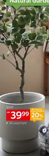 XXXLutz Ambia home pflanztopf Angebot