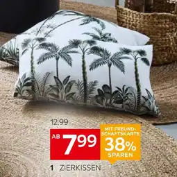 XXXLutz Ambia home zierkissen Angebot